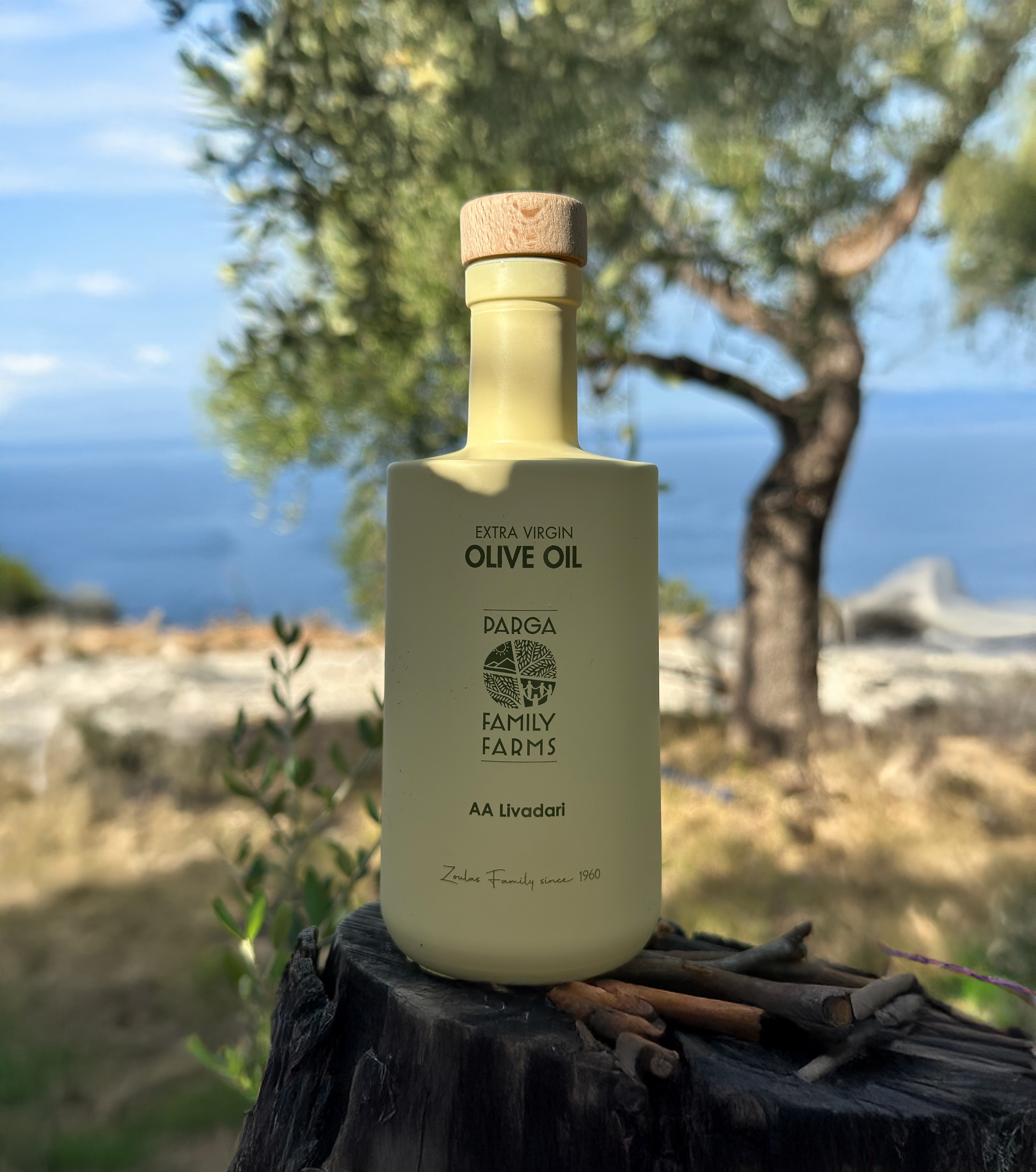 Φωτογραφία 1